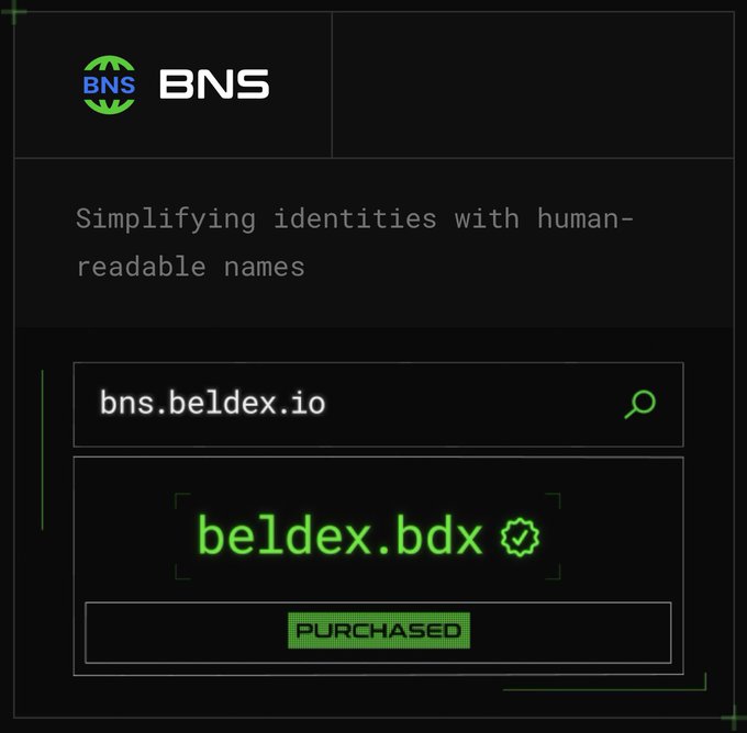Screenshot of the BNS (Beldex Name Service) interface showing the domain 'bns.beldex.io' mapping to 'beldex.bdx' with a 'PURCHASED' status.
