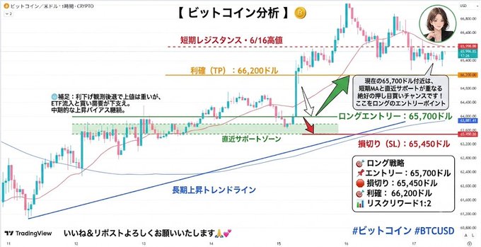 【 Bitcoin Analysis 】 The image shows a chart of Bitcoin prices against currency pairs, such as the Japanese yen or the pound sterling. This could be part of an investment strategy for someone who's trading Bitcoin and wants to understand how different currencies affect their portfolio. In the background, there is a post written in Japanese that offers advice on buying Bitcoins during specific exchange rates. The image contains a woman with a serious expression, which suggests she might be analyzing these charts as part of her financial decisions or market research.