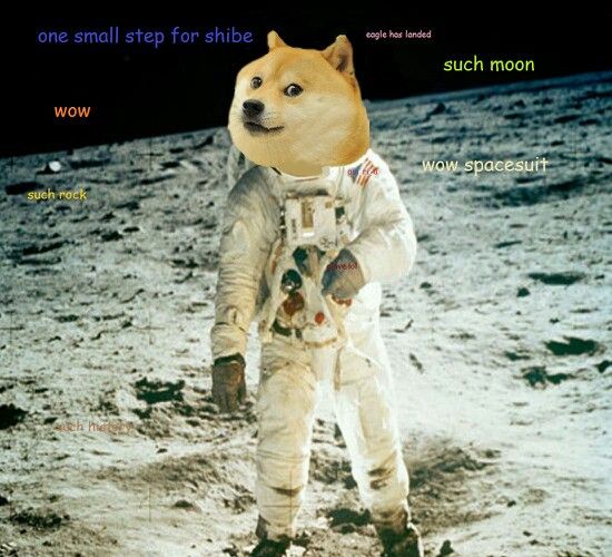 The image features a person dressed as a dog standing on the moon's surface. They are wearing a white jumpsuit with a hat that resembles a dog's head. The caption of the image reads "Good Morning, $DOGE Family." This suggests that the photo is related to a post about dogs or the $DOGE family.