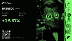 A promotional graphic for 'BNB/USDC' on TxFlow, showing a Current Price of $599.63 and a green '+19.37%' gain, featuring a stylized face with green pixel sunglasses.