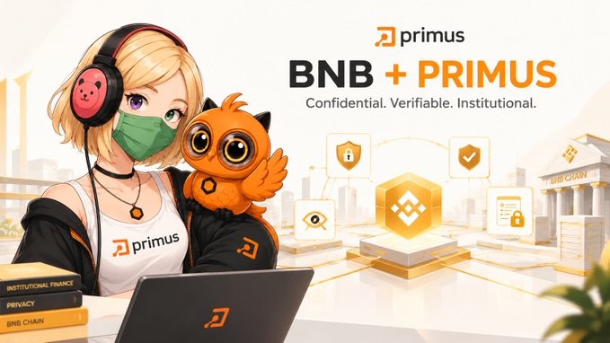 An advertisement featuring an anime-style blonde woman with headphones and a mask alongside an orange owl mascot, promoting 'BNB + PRIMUS' with the tagline 'Confidential. Verifiable. Institutional.'