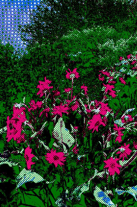 A pop-art style image of bright pink flowers and green foliage rendered with a colorful halftone dot pattern.