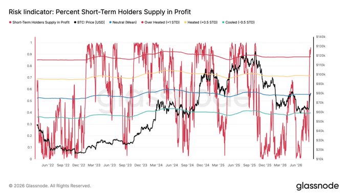 A line chart from Glassnode titled 'Risk indicator: Percent Short-Term Holders Supply in Profit' comparing BTC Price [USD] against Supply in Profit metrics from June 2022 to June 2026.
