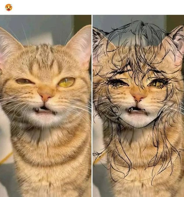 The image shows two cat portraits, one brown and white striped cat and another orange cat with a black nose. The caption reads "Afternoon Vibes. In any financial system, trust and stability are essential for long-term growth." This suggests that the cats' portraits may be related to a social media post or an advertisement promoting a product or service.