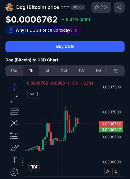 A mobile screenshot showing Dog (Bitcoin) cryptocurrency price at $0.0006762, up 8.34% in 24 hours, with a candlestick chart displayed below the Buy DOG button.