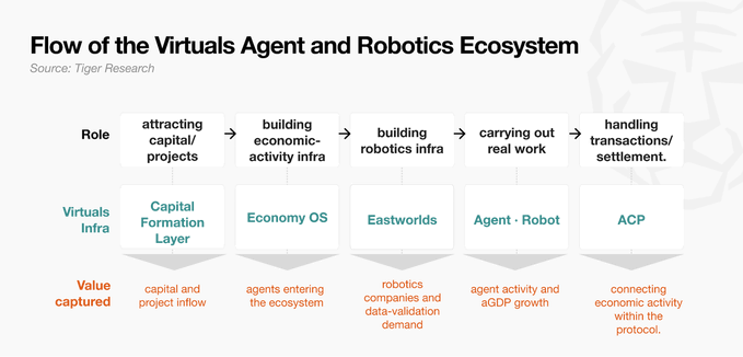 The image presents a flowchart titled "Flow of the Virtuals Agent and Robotics Ecosystem" (Source: Tiger Research), illustrating how Virtuals captures value across five stages: attracting capital/projects, building economic-activity infrastructure, building robotics infrastructure, carrying out real work, and handling transactions/settlement. Each stage is mapped to a corresponding infrastructure layer—Capital Formation Layer, Economy OS, Eastworlds, Agent-Robot, and ACP—with value captured through capital inflow, agent ecosystem growth, robotics demand, aGDP growth, and protocol connectivity. This connects to the post highlighting how Virtuals is strategically timing its expansion by moving into AI agents for stock investing on @RobinhoodCrypto, positioning itself to capture value at the capital-formation stage of its ecosystem roadmap.
