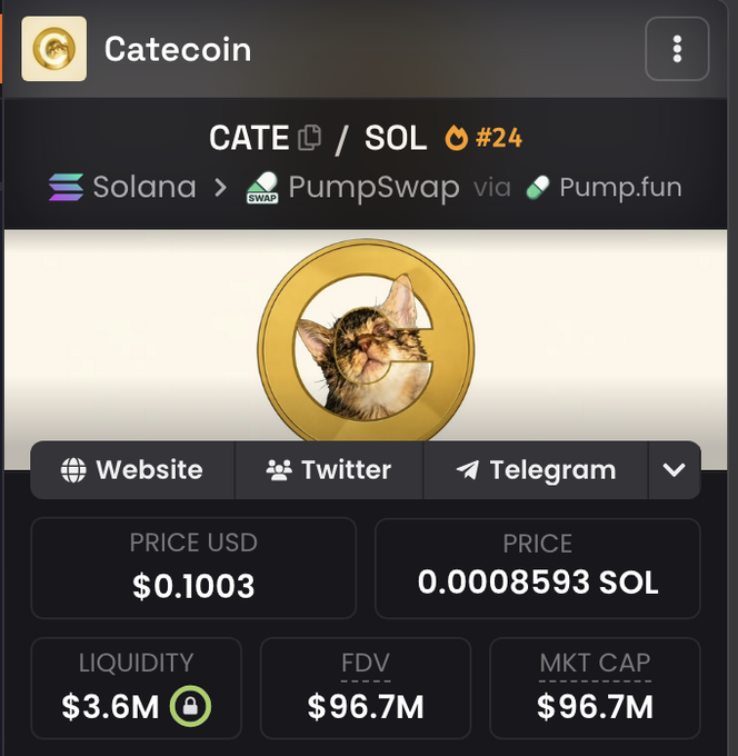 A cryptocurrency page for Catecoin (CATE/SOL) showing a cat logo, price of $0.1003 USD, liquidity of $3.6M, and FDV/MKT CAP of $96.7M.