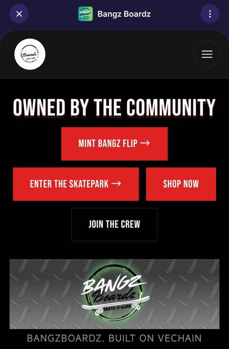 A mobile interface for 'Bangz Boardz' on Vechain, featuring the text 'OWNED BY THE COMMUNITY' and buttons to 'MINT BANGZ FLIP', 'ENTER THE SKATEPARK', 'SHOP NOW', and 'JOIN THE CREW'.