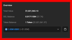 A wallet overview panel shows a Total Value of $1,021,563.13, a 30D Balance of 0.01711584 ($1.76), a Token Balance of 1 Token, and an asset labeled '1.02M sUSDC (~$1.02M)'.