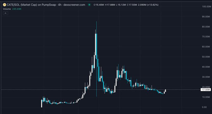 A 4-hour candlestick chart of $CATE/SOL on PumpSwap via dexscreener.com shows the token currently trading at 0.15 SOL (+13.62%) with a 245.69K volume, having spiked from ~5M to a peak above 90M before consolidating around the 20M level—visually reinforcing the post's claim that the trader "sized the bottom" and expects another run.