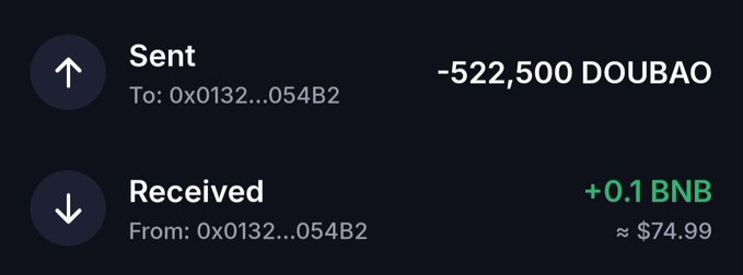 A cryptocurrency transaction history showing -522,500 DOUBAO sent and +0.1 BNB (≈ $74.99) received from address 0x0132...054B2.