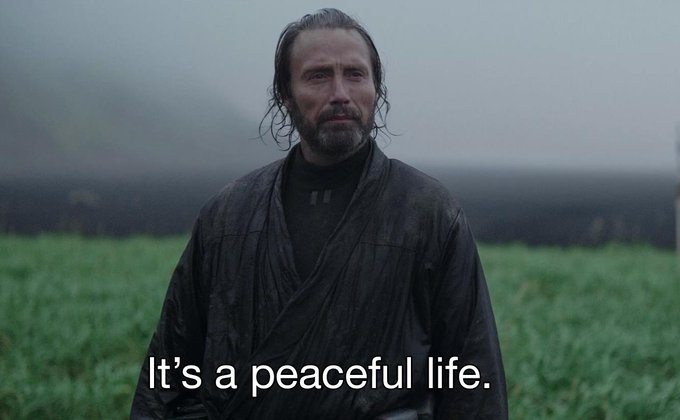 A bearded man with wet hair stands in a foggy field wearing dark robes, with the caption "It's a peaceful life." displayed at the bottom.

The image humorously contrasts with the post's anxious tone about underperforming during market sideways action—suggesting that despite the stress of stagnant PNL, there's a deeper "peaceful life" of financial security waiting beyond the short-term chart watching.