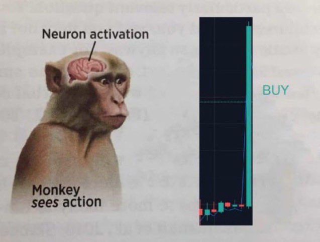 A drawing of a monkey with a brain sticking out, suggesting an artificial intelligence concept related to "Neuroaction". Behind the monkey, there's a graph or chart that reads 'Monkey pays off' which is likely referring to an illustration of how monkeys have been shown to be better at financial trading than humans. The post also mentions the term "Solana" with a drawing of it as part of this concept.