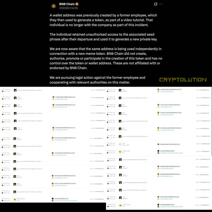 A statement from BNB Chain (@BNBCHAIN) regarding a wallet address previously created by a former employee and its connection to a new meme token, with a 'CRYPTOLUTION' watermark.