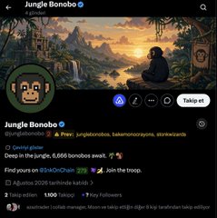 The screenshot shows the Jungle Bonobo Twitter/X profile, displaying 8,556 followers, 1,100 tweets, and a header image of a monkey in a jungle setting, with the handle "junglebonobo" visible at the top. This relates to the post's warning about a suspected scammer who changed their username to @junglebonobo to exploit hype around the Inkonchain network after previously pulling a rug on a free mint project on Robinhood's chain.