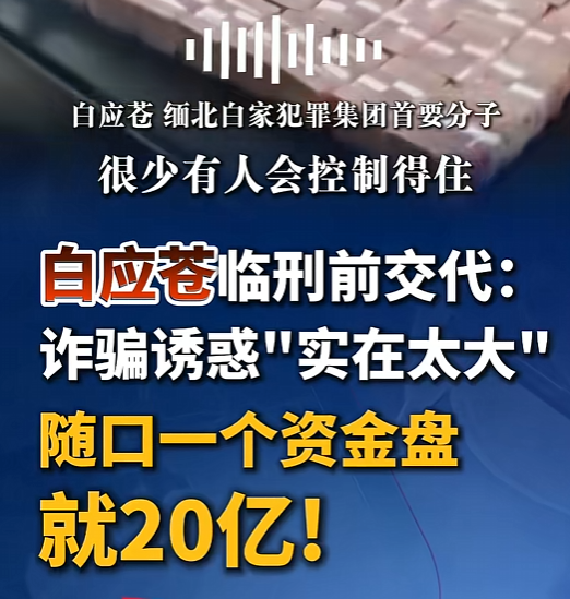A blue graphic with Chinese text discussing crime, featuring the words '白应苍', '缅北白家犯罪集团首要分子', '白应苍临刑前交代', '诈骗诱惑"实在太大"', and '随口一个资金盘就20亿!', set against a background of a keyboard.