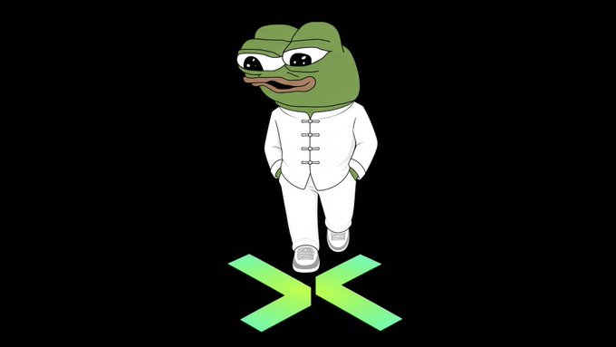 A cartoon image of a Pepe the Frog character wearing a white martial arts uniform (kung fu outfit) walking forward, with a green 'X' (XVERSE) logo below on a black background.
