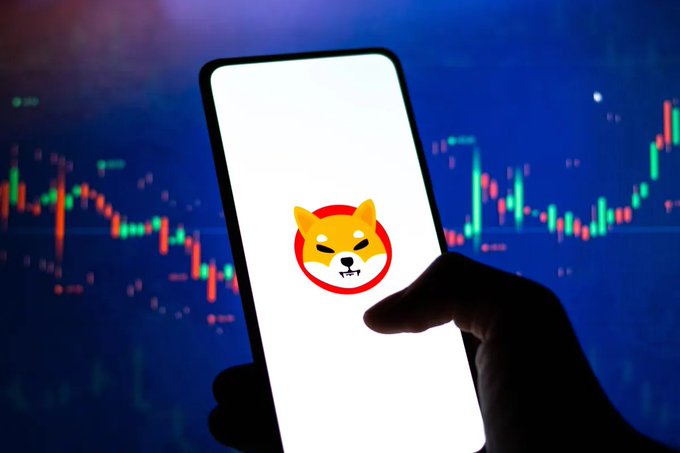 A hand holds a smartphone displaying the Shiba Inu (SHIB) logo, set against a backdrop of a candlestick chart showing market price movements, visually reinforcing the post's theme of whale accumulation during a key support level.