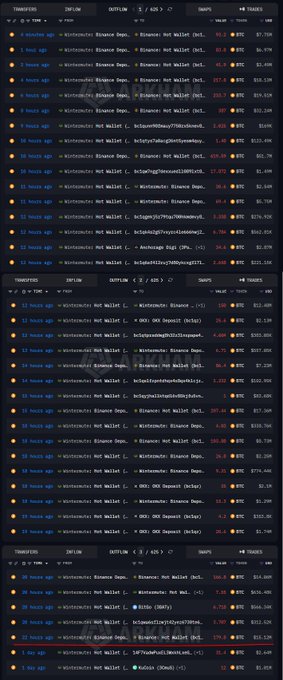 A cryptocurrency transaction tracking interface displaying multiple transfers of HYPE token, with values ranging from $31,000 to $100,000+ between various wallets.