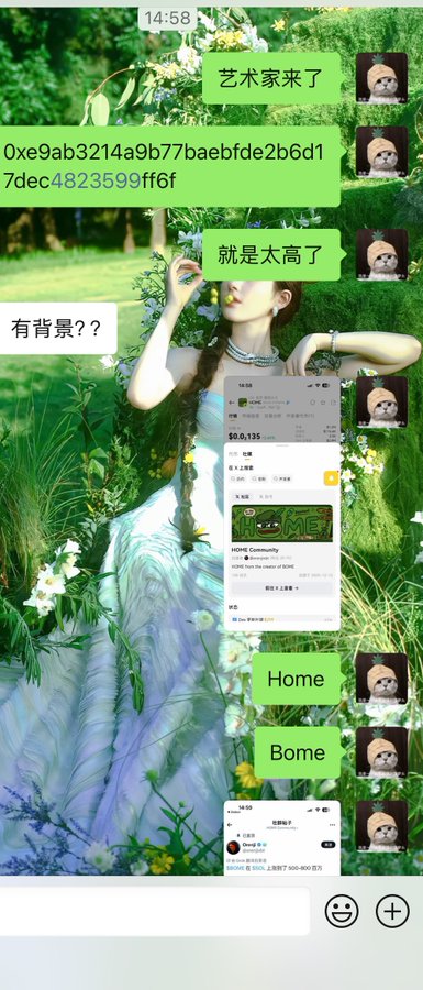 A Chinese chat conversation with messages like '艺术家来了', '0xe9ab3214a9b77baebfde2b6d17dec4823599ff6f', '就是太高了', '有背景？', and 'Home'/'Borne' shared over a wallpaper of a woman in a green forest, including a screenshot of an NFT listing for 'HOME' priced at $0.0135.