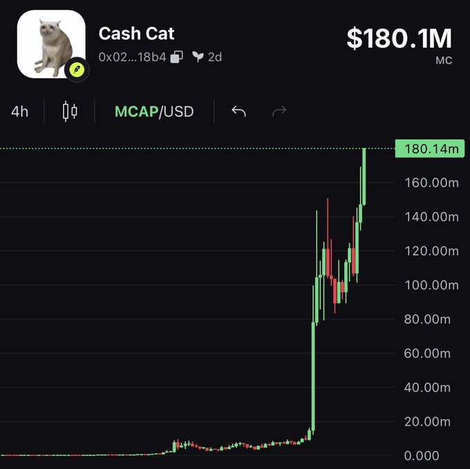 A 4-hour candlestick chart of the "Cash Cat" token (0x02...18b4) showing its market cap surging from near $0 to $180.14M MCAP/USD on the MCAP scale, with a sharp vertical rally followed by consolidation between roughly $90M and $140M before pushing to new highs, visually illustrating the strong buy pressure mentioned in the post.