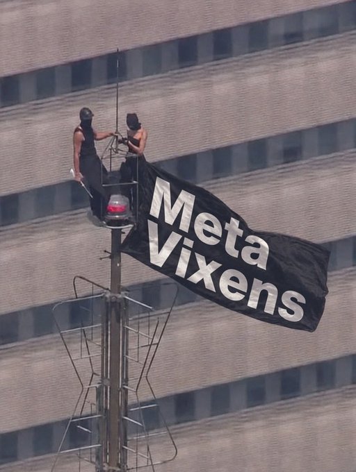 Two people perched atop a high pole or tower platform, deploying a large black banner that reads 'Meta Vixens' against a backdrop of a building's facade.