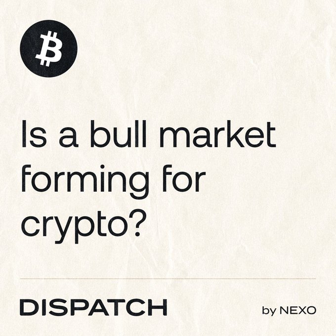 A graphic from NEXO's Dispatch series features the Bitcoin logo alongside the headline "Is a bull market forming for crypto?" on a textured beige background. The minimalist design ties into the post's theme of cautious optimism, as Bitcoin held steady while other cryptos like Ether, XRP, and Solana showed mixed momentum.