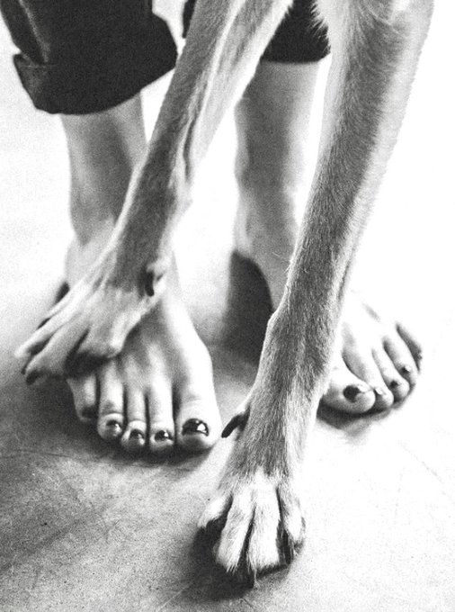 A black and white photo showing a person's bare feet with dark toenail polish alongside a dog's legs and paws.