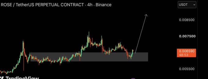 A TradingView candlestick chart of ROSE/USDT Perpetual Contract on Binance's 4h timeframe shows the price near $0.006590 with a highlighted consolidation zone and a drawn arrow pointing upward to targets near $0.007500-$0.008500, visualizing a bullish long setup.