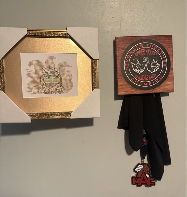A wall display features a framed artwork of a cat next to a wooden plaque reading 'STRONGER TOGETHER SUMMER KICK-OFF CHALLENGE MATCH CHAMPION' with a black ribbon and medal below.