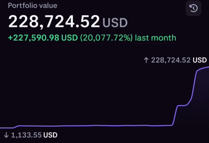 A portfolio value chart showing 228,724.52 USD with a monthly gain of +227,590.98 USD (20,077.72%), featuring a steep upward purple line graph.