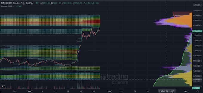 A 1-hour BTC/USD chart on Binance showing Bitcoin's price at 79,533.40, with a sharp rally from the ~$62,000 range up to current levels and a Volume Profile revealing heavy trading activity concentrated around $67,000-$69,000 (the POC) and $77,000-$80,000. The right-side TPO/Volume Profile highlights a developing high-volume node near $79,000-$80,000, illustrating why BTC stands out as the only cryptocurrency still trending upward while others have stalled or reversed.