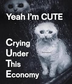 A meme-style image of a crying seal with text reading 'Yeah I'm CUTE' and 'Crying Under This Economy,' credited to '@sheweeArt.'