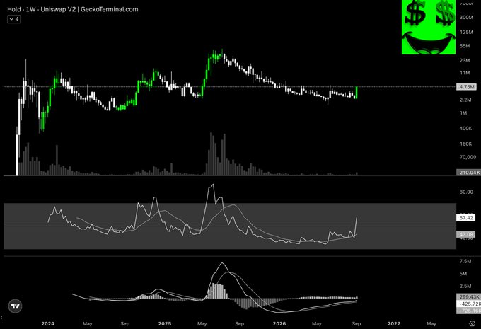 A TradingView-style financial chart for 'Hold - 1W' showing candlestick patterns, an RSI indicator, and a MACD indicator across a timeline from 2024 to 2027, with a small green cartoon money face image in the corner.
