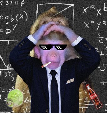 A monkey in a black suit and "thug life" sunglasses smokes a cigarette against a chalkboard covered in math equations, with a beer bottle nearby—a humorous "math whiz" meme style fitting for a giveaway announcement. The post promotes a free NFT mint by Cash Monkeys, offering 10 guaranteed and 20 first-come-first-served winners.