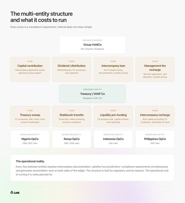 The image shows a flowchart that illustrates the complex money flows between various entities, such as holding companies for ownership, a treasury entity for stablecoin liquidity, local operating units for payroll and contracts, and other entities like banks or payment processors. The focus of the image is on these interconnected financial flows rather than the number of entities involved in them.