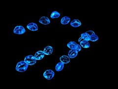 Blue bioluminescent jellyfish glowing against a dark background in what appears to be an aquarium.