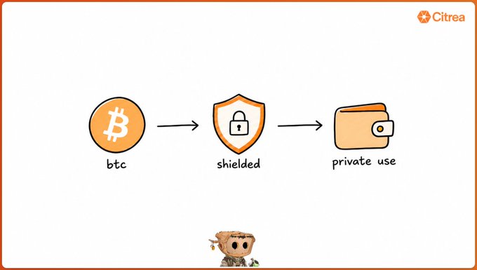 An educational infographic by Citrea illustrating the flow of BTC into a 'shielded' state (represented by a shield with a lock) and then into 'private use' (represented by a wallet).