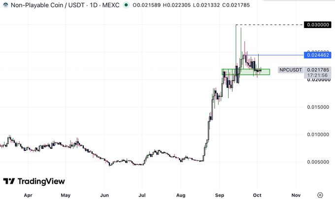 A TradingView chart displays the price action of 'Non-Playable Coin / USDT' on the MEXC exchange, showing a recent price surge with key levels marked at 0.030000 and 0.024462.