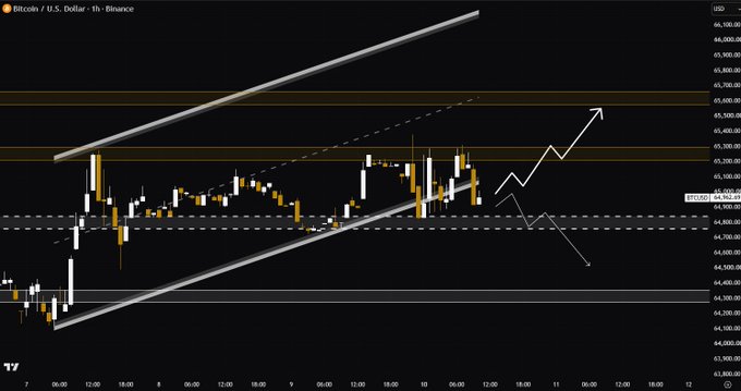 A Bitcoin/U.S. Dollar (BTCUSD) 1-hour candlestick chart from Binance showing price action within an ascending channel pattern, with resistance around $65,300-$65,500 and support near $64,500-$64,800, projecting potential upside and downside scenarios.
