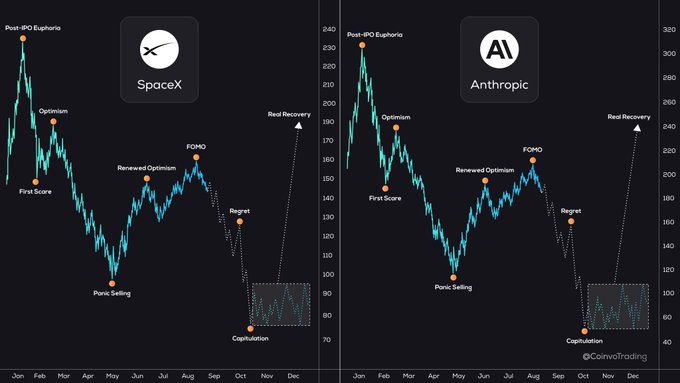 The chart visualizes a speculative "emotional cycle" of two IPOs—SpaceX (SPCX) and Anthropic—tracking investor sentiment phases like "Post-IPO Euphoria," "FOMO," "Panic Selling," and "Capitulation" from January through December, with both reaching peaks near 240-380 before crashing toward year-end. It directly supports the post's question by suggesting Anthropic's IPO could follow SpaceX's post-IPO downturn pattern, given their nearly identical sentiment trajectories.