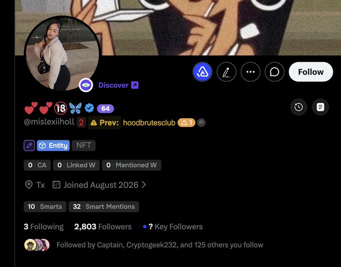 A social media profile page for @mislexiholt showing 2,803 followers, 3 following, 18 likes, and a 'Discover' badge, with username handle visible.