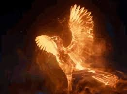 A fiery phoenix with outstretched wings emerges dramatically from orange flames against a dark background.