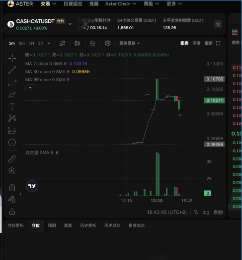 A Binance trading chart shows the CASHCATUSDT token (labeled as a "垃圾币"/junk coin) experiencing a massive 90% spike to 0.10271 USDT before crashing back down, with only minimal trading volume around 1,856 USDT in the last 24 hours. The screenshot illustrates the post's criticism of launching futures contracts for a low-liquidity, volatile meme coin built on BSC.