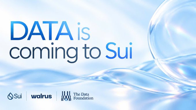 A promotional graphic with the text 'DATA is coming to Sui' over a light blue bubble/wave background, showing logos for Sui, Walrus, and The Data Foundation.