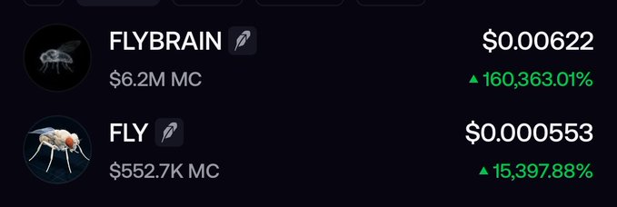 A cryptocurrency chart displaying FLYBRAIN at $0.000622 with a 160,363.01% increase ($6.2M market cap) and FLY at $0.000553 with a 15,397.88% increase ($552.7K market cap), both featuring fly/insect icons.