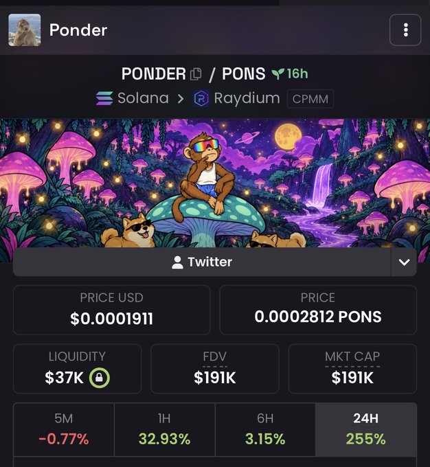 A cryptocurrency tracker displays the PONDER/PONS token, listed on Solana via Raydium CPMM 16 hours ago, with a USD price of $0.0001911 (0.00002812 PONS), liquidity of $37K (locked), and a fully diluted/market cap of $191K, alongside performance figures of -0.77% over 5 minutes, 32.93% over 1 hour, 3.15% over 6 hours, and a notable 255% gain over 24 hours, all framed by a vibrant psychedelic illustration of a contemplative monkey meditating on a glowing mushroom alongside a Shiba Inu—visually reinforcing the poster's hopeful message about maintaining conviction, riding out volatility, and seizing early degen opportunities in the crypto market.