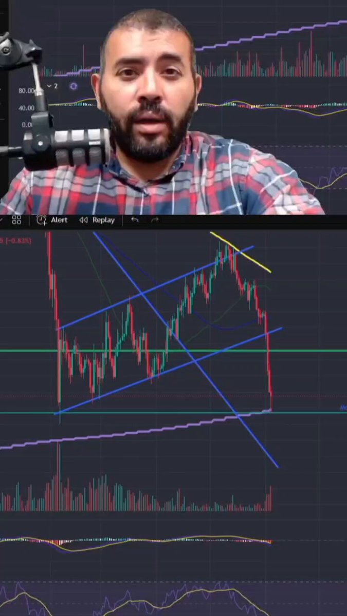 The image features a man wearing a plaid shirt, talking into a microphone while looking at a computer screen displaying a graph of Bitcoin prices over time. The graph shows fluctuations in the value of Bitcoin throughout the day, with peaks and valleys indicating changes in price. This visual representation helps to illustrate the concept of cryptocurrency trading and market trends.