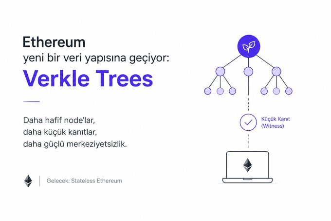 An infographic titled "Ethereum yeni bir veri yapısına geçiyor: Verkle Trees" (Ethereum is transitioning to a new data structure: Verkle Trees) explaining that Verkle Trees enable "Daha hafif node'lar, daha küçük kanıtlar, daha güçlü merkeziyetsizlik" (Lighter nodes, smaller proofs, stronger decentralization), with a diagram showing a tree structure connecting leaves to a root (marked with a plant icon) and a "Küçük Kanıt (Witness)" flowing down to a laptop displaying the Ethereum logo, tagged "Gelecek: Stateless Ethereum" (Future: Stateless Ethereum).
