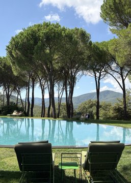 A serene view of a turquoise swimming pool surrounded by tall pine trees and green lawn, with mountains visible in the distance under a bright blue sky with scattered clouds.